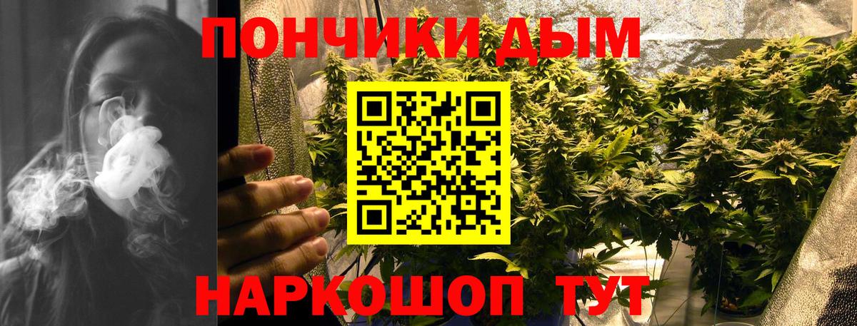 Бошки марихуана семена Коряжма